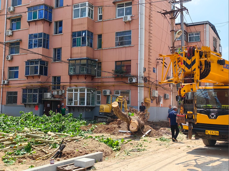 民生期盼有回應 舊區“新”生展歡顏 建設工程監理在舊城改造中的關鍵作用